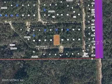 Satsuma, FL 32189,118 NEW JERSEY ST