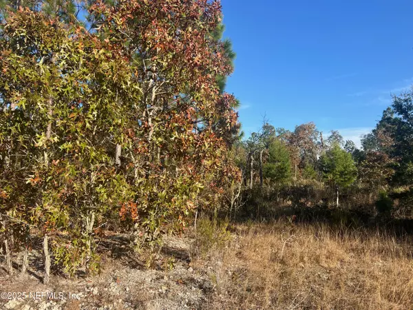 Hawthorne, FL 32640,224 KANSAS AVE