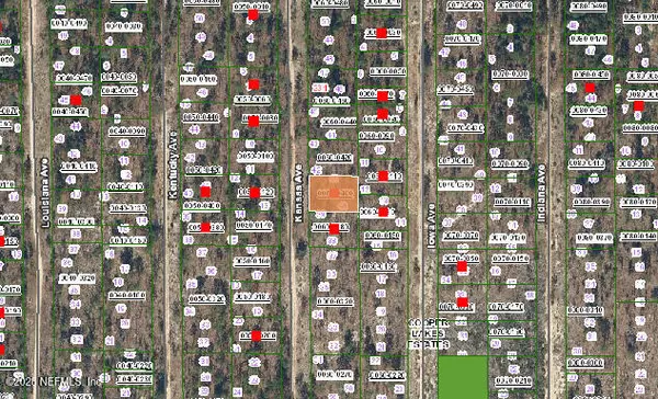 Hawthorne, FL 32640,224 KANSAS AVE