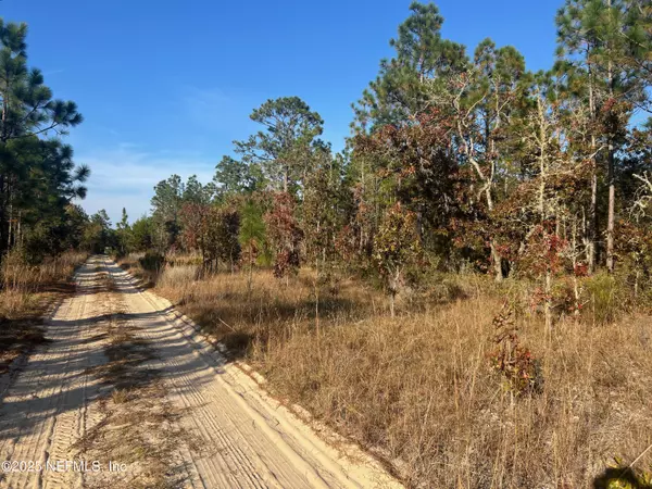 Hawthorne, FL 32640,224 KANSAS AVE