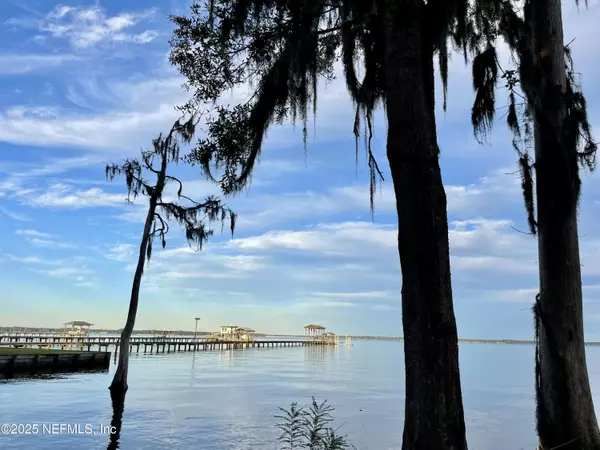 Fleming Island, FL 32003,1570 RIVER RISE PT