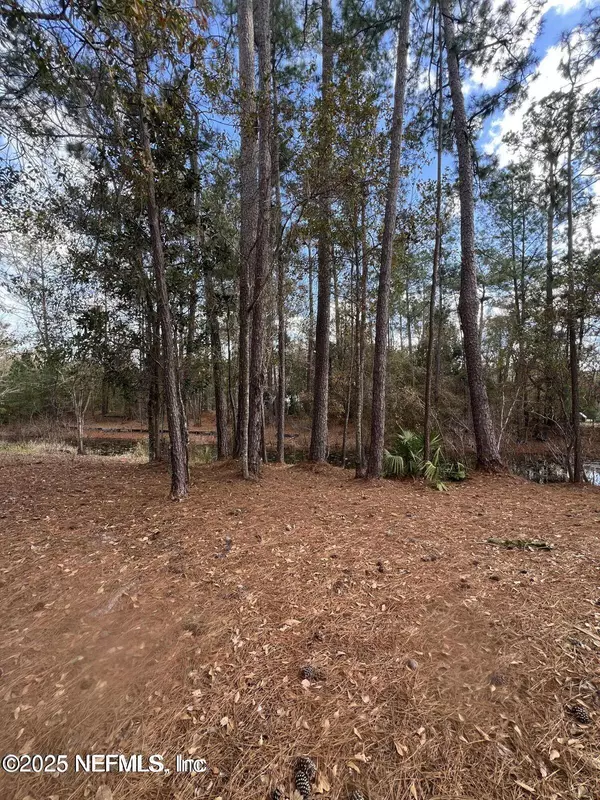 LOT 36 37 SW 162ND TER, Starke, FL 32091