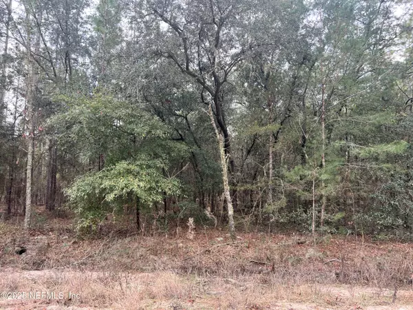 0 TROUT LAKE CIR, Interlachen, FL 32148