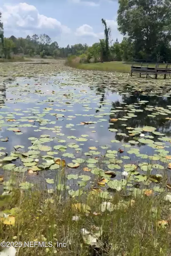 8 APPALOOSA DRIVE DR, Interlachen, FL 32148