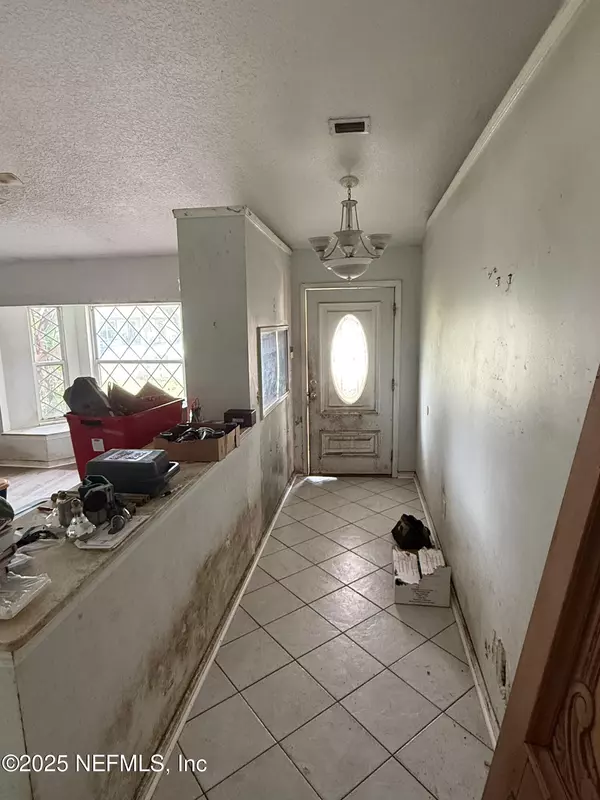 Orange Park, FL 32073,1311 ELK CT S