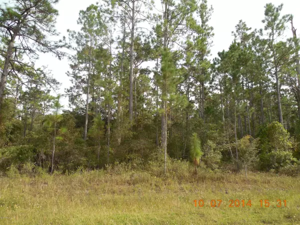 Melrose, FL 32666,00 NE COUNTY RD 219-A