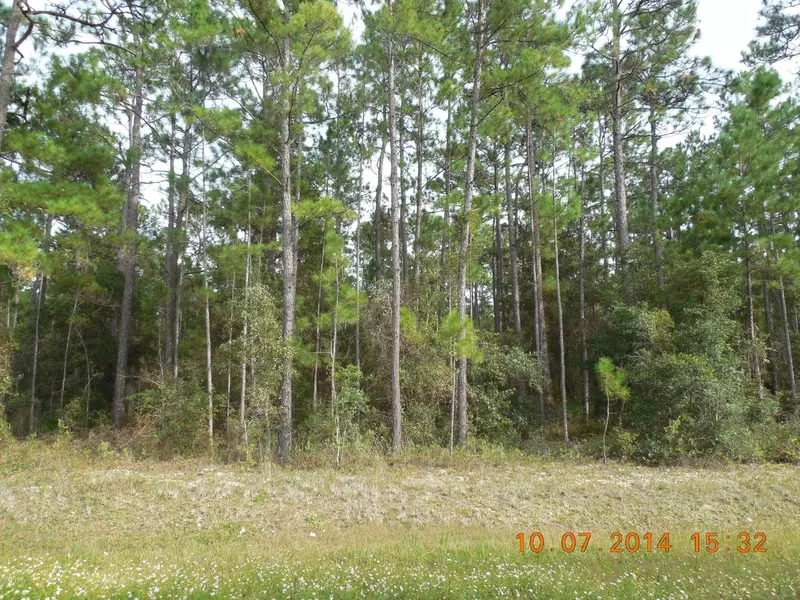 00 NE COUNTY RD 219-A, Melrose, FL 32666