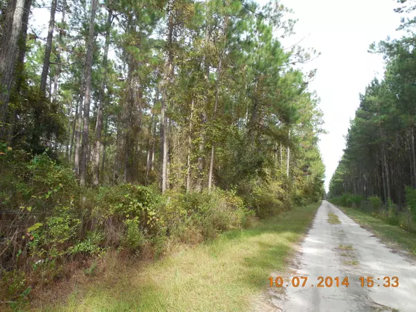 Melrose, FL 32666,00 NE COUNTY RD 219-A