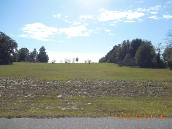 Keystone Heights, FL 32656,8865 WHITE HIBISCUS    LOT #4 CT