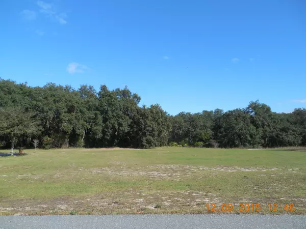 Keystone Heights, FL 32656,6262 BLUE MARLIN   LOT#6 DR