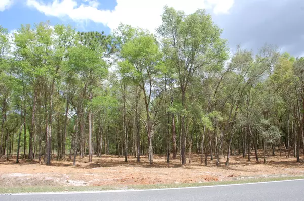 Keystone Heights, FL 32656,LOT # 5 SE 21B / 8TH AVE