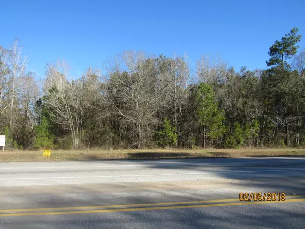 0 COUNTY RD 220, Middleburg, FL 32068