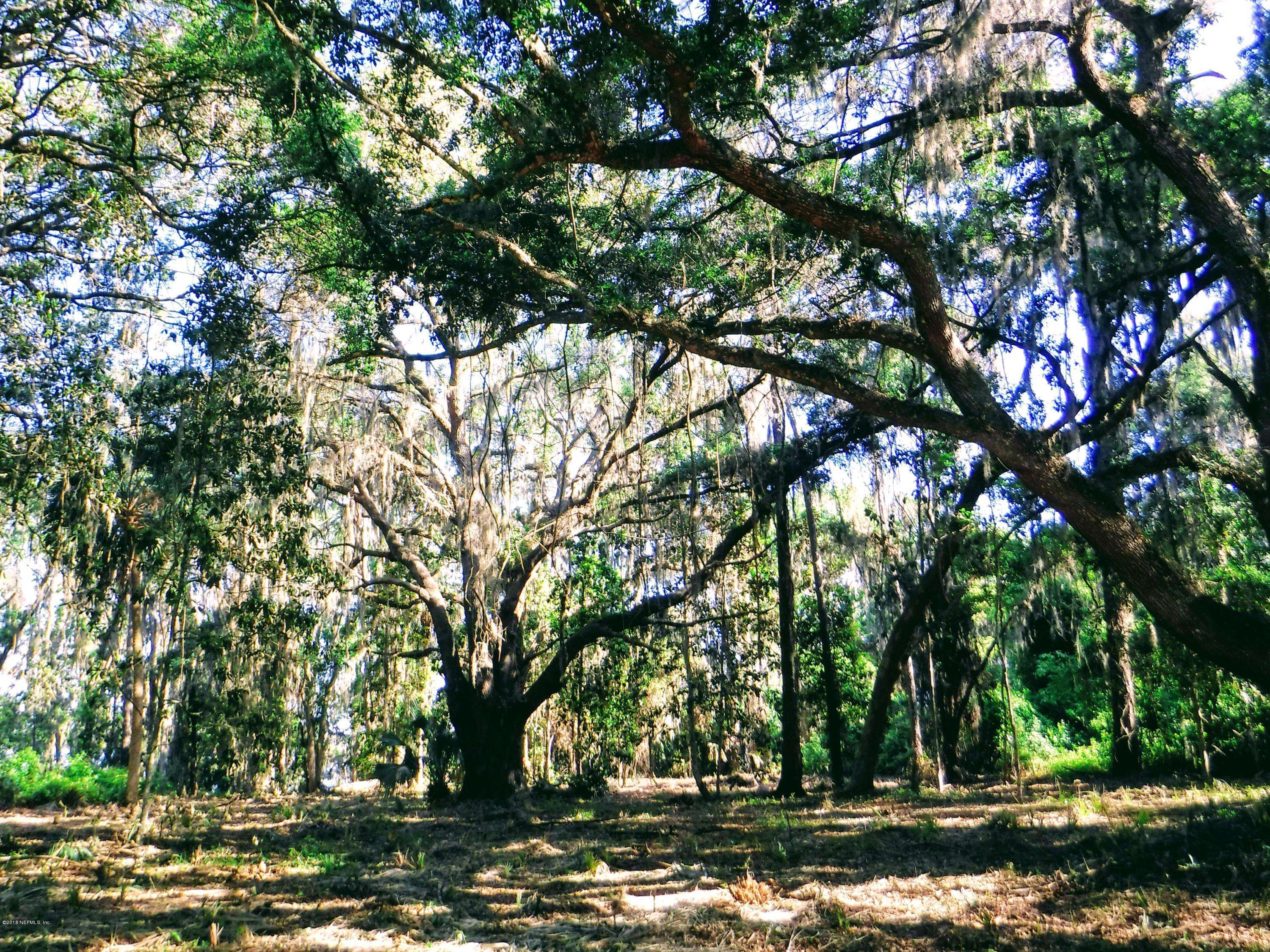 East Palatka, FL 32131,121 RIVERS EDGE DR