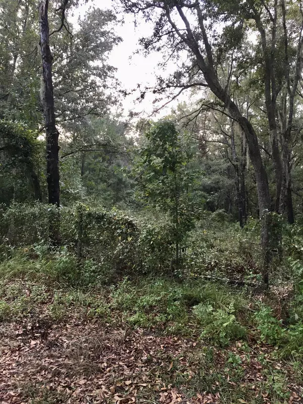 000 CONFEDERATE DR, Glen St. Mary, FL 32040