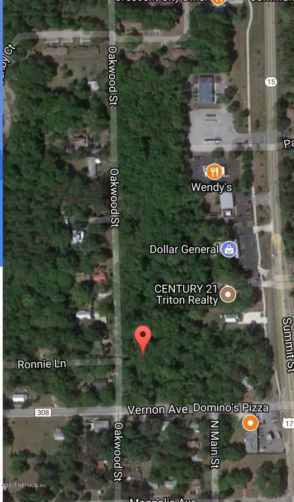 LOT 8 VERNON-OAKWOOD, Crescent City, FL 32112