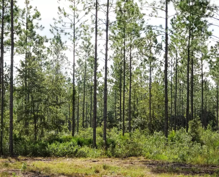 5555 MELVIN PADGETT RD, Jacksonville, FL 32234