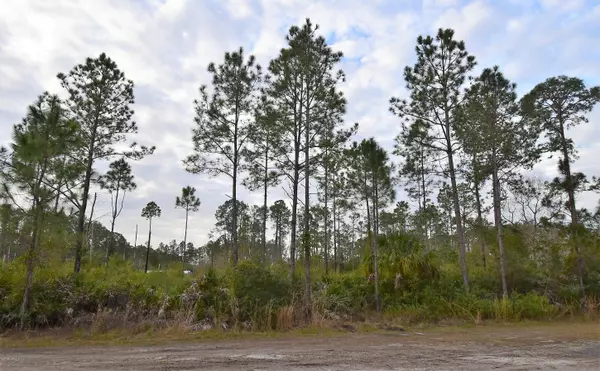 117 LODGE POLE CIR, Georgetown, FL 32139