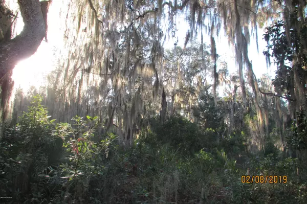 Georgetown, FL 32139,000 ANHINGA RD