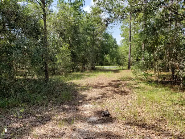 Melrose, FL 32666,184 ASHLEY LAKE DR