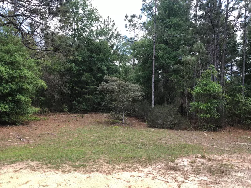 124 SLIPPER WAY, Hawthorne, FL 32640