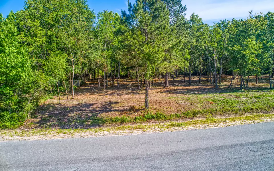 LOT 51 SWALLOWFORK AVE, Callahan, FL 32011