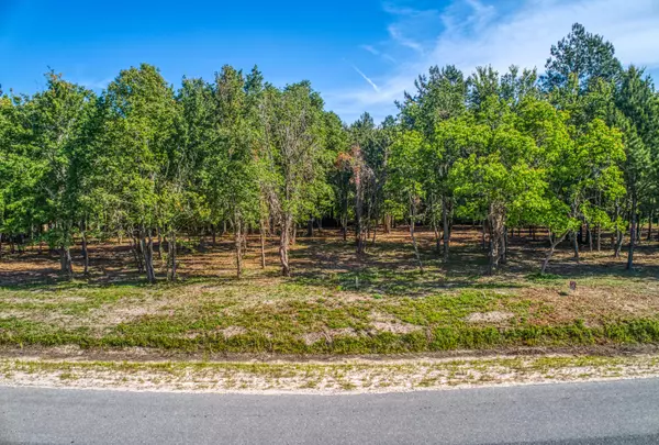 Callahan, FL 32011,LOT 51 SWALLOWFORK AVE