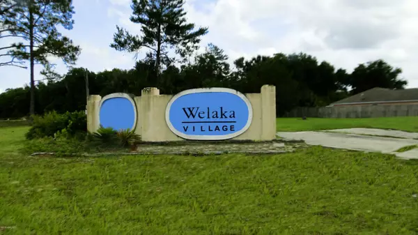 Welaka, FL 32193,101 VILLAGE DR