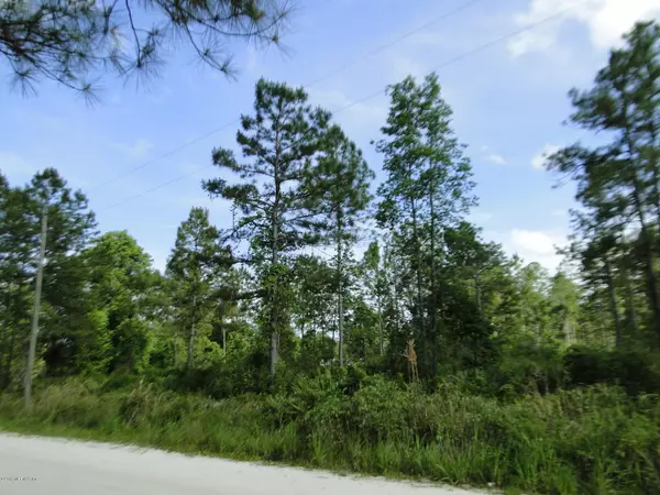 Satsuma, FL 32189,705 HICKORY NUT TRL