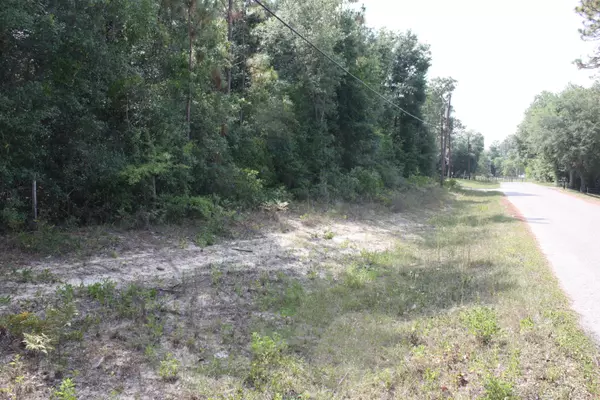 Keystone Heights, FL 32656,0 DEER SPRINGS RD