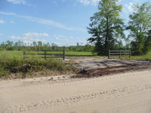 Sanderson, FL 32087,0 LOT 5 COW PEN RD