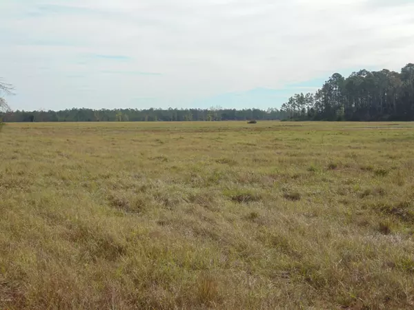 Sanderson, FL 32087,0 LOT 5 COW PEN RD