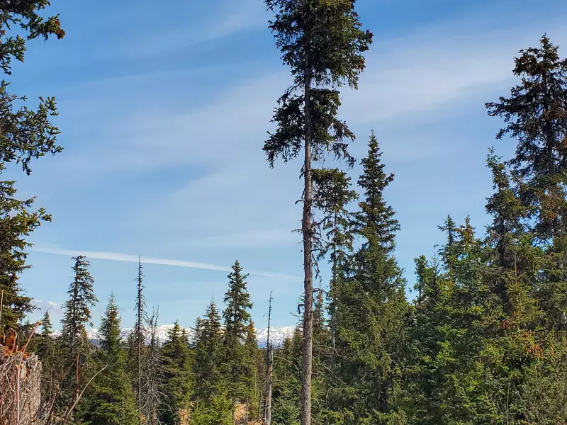 L6 Suchaview RD, Homer, AK 99603
