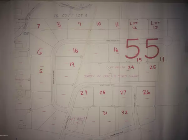 L29 Olsen Subdivision, Petersburg, AK 99833