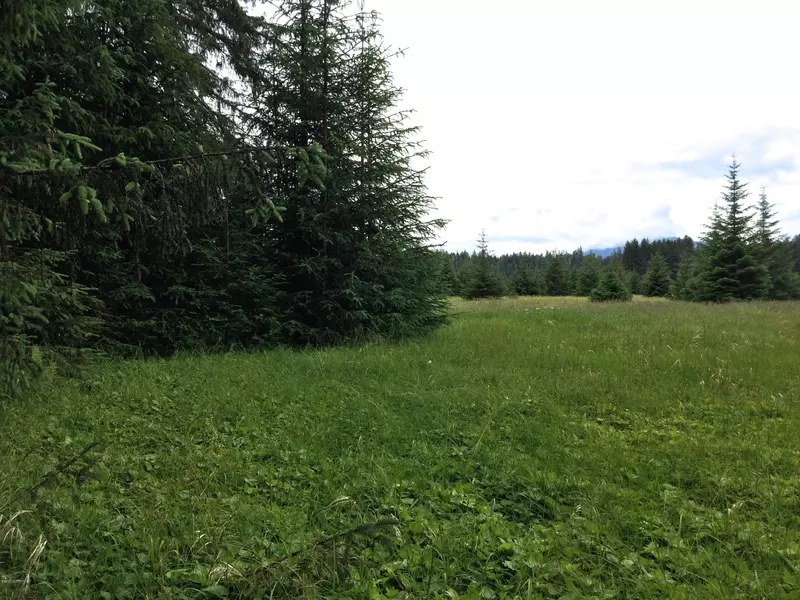 Lot 3 Cranberry RD, Petersburg, AK 99833