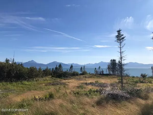 Homer, AK 99603,955 Sterling HWY