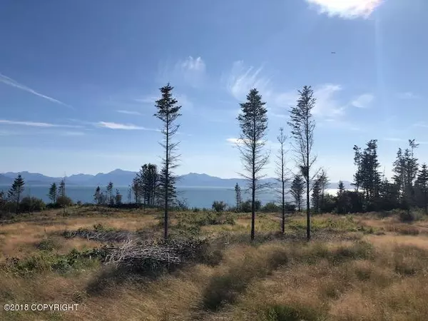 Homer, AK 99603,955 Sterling HWY