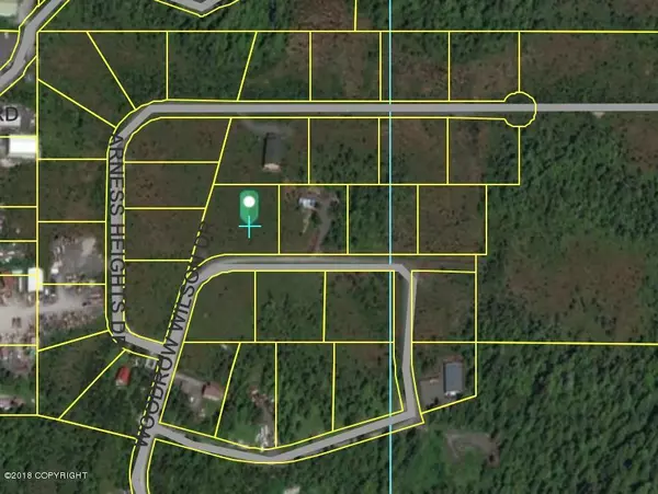 Lot 22 Olsen Subdivision DR, Petersburg, AK 99833