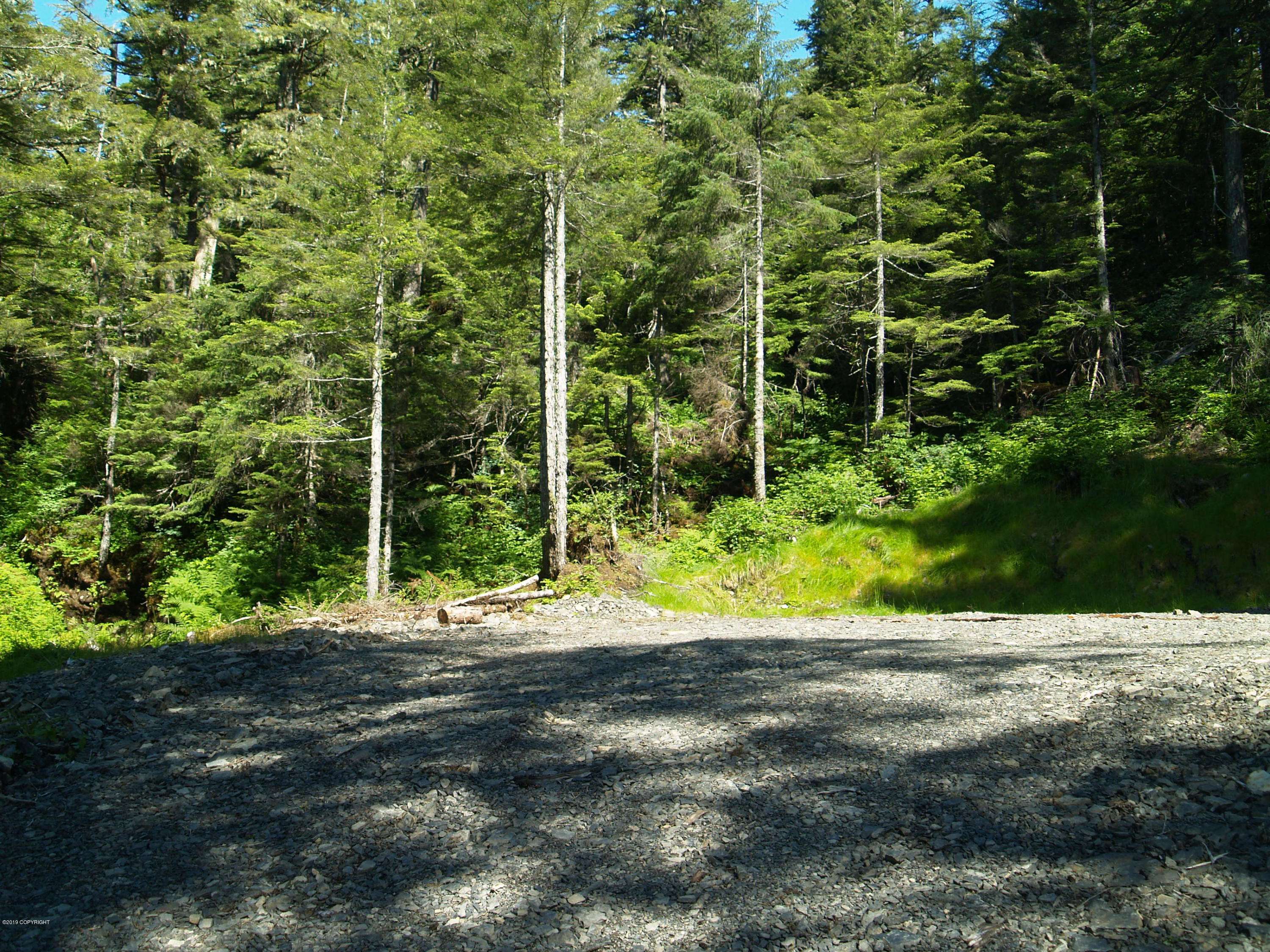 Cordova, AK 99574,101 Cabin Ridge RD