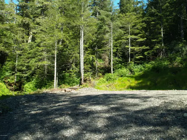 Cordova, AK 99574,101 Cabin Ridge RD