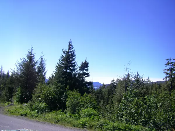 Cordova, AK 99574,100 Cabin Ridge RD