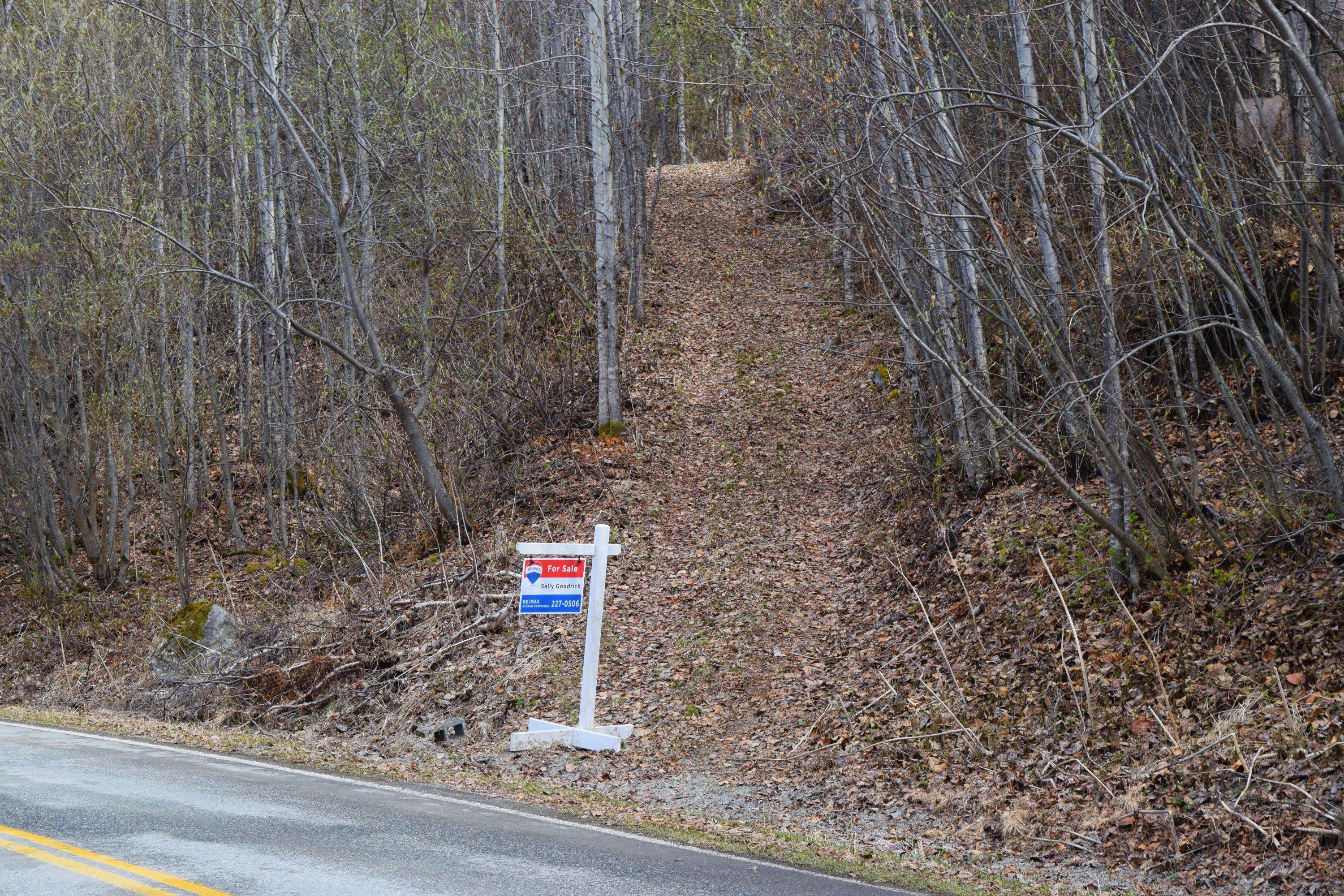 L23 Homestead RD, Chugiak, AK 99567