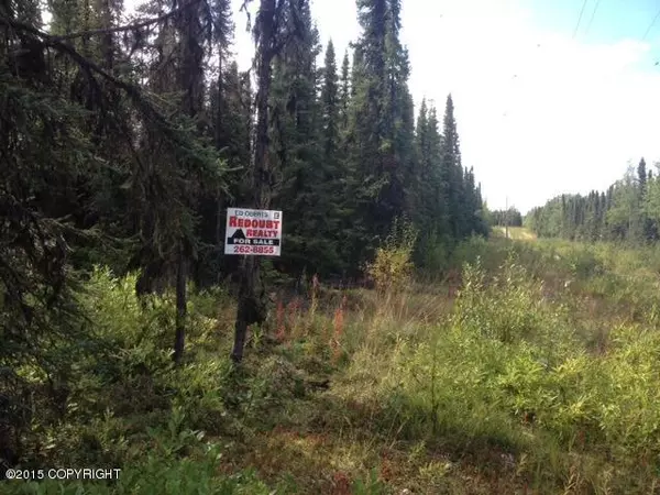 6 Lots Leann Street, Soldotna, AK 99669