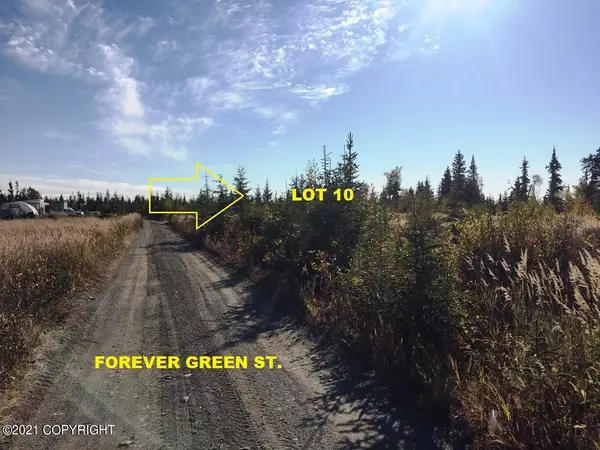 Anchor Point, AK 99556,Lot 10 Forever Green ST