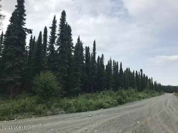 Soldotna, AK 99669,L1 Sara ST