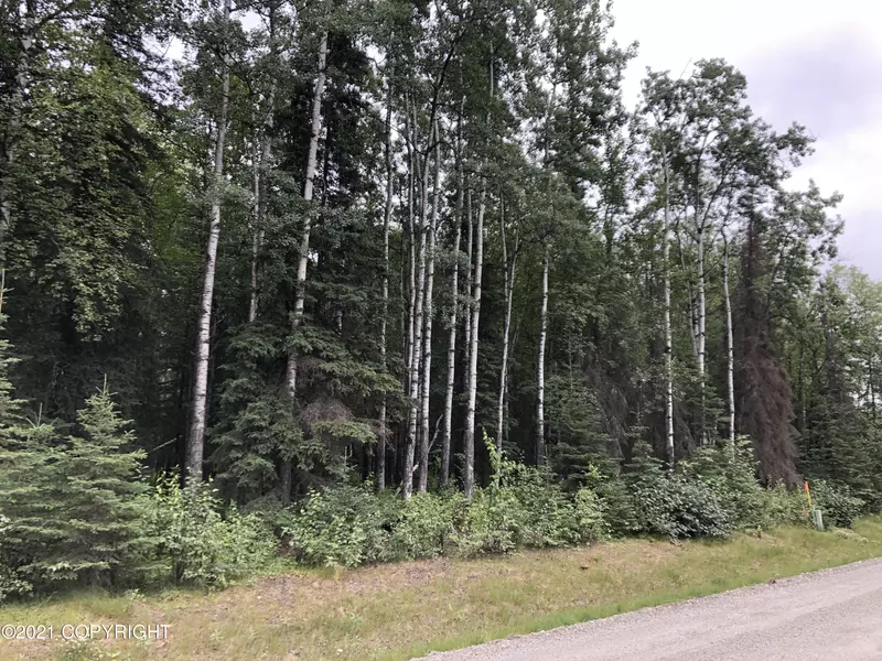 5551 N Wildwood DR, Wasilla, AK 99654