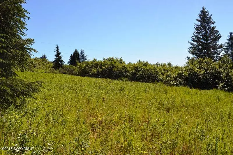 37192 Ilene DR, Homer, AK 99603