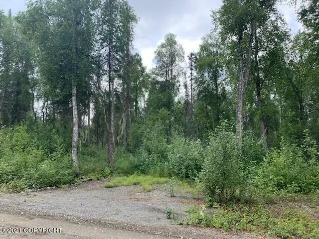 22440 S Jack London Way, Talkeetna, AK 99676