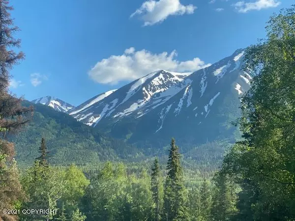 Cooper Landing, AK 99572,19852 Sterling HWY