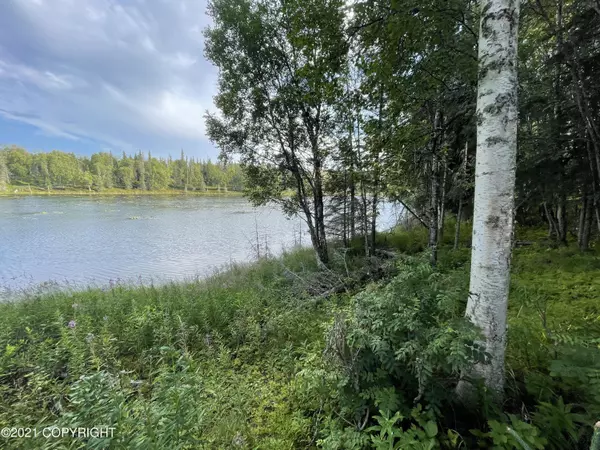 Nikiski/north Kenai, AK 99611,48438 Lake Meadow LN