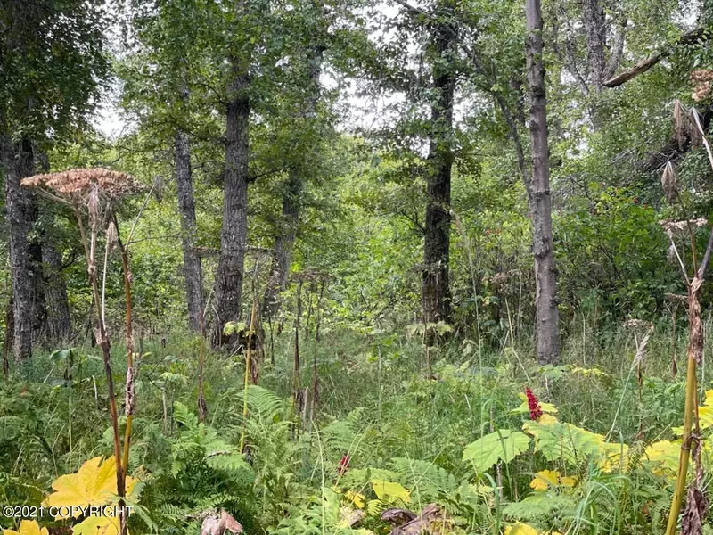 0000 Sea-Scape L6 B4, Nikiski/north Kenai, AK 99635